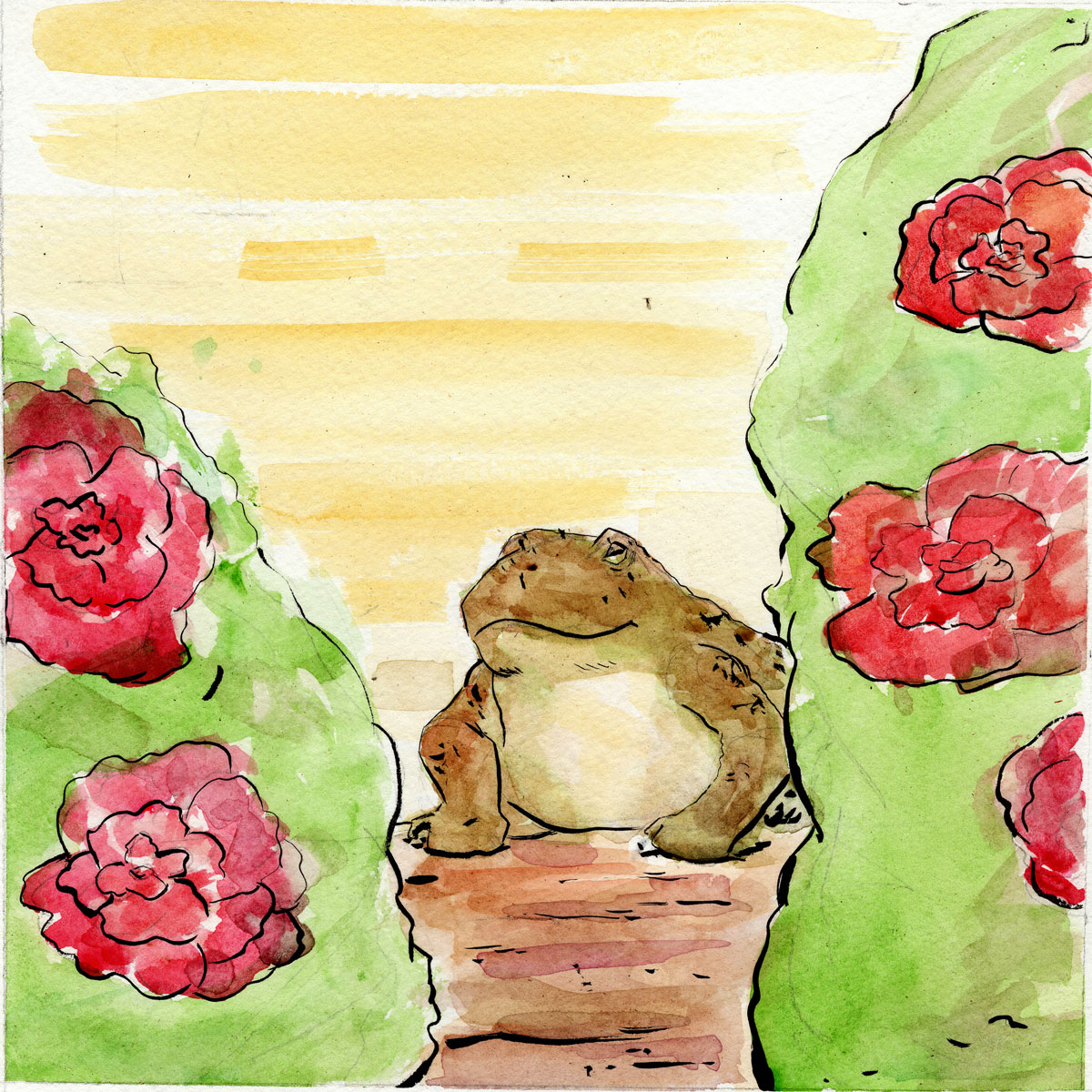Miss Harter's Toad Cover Picture